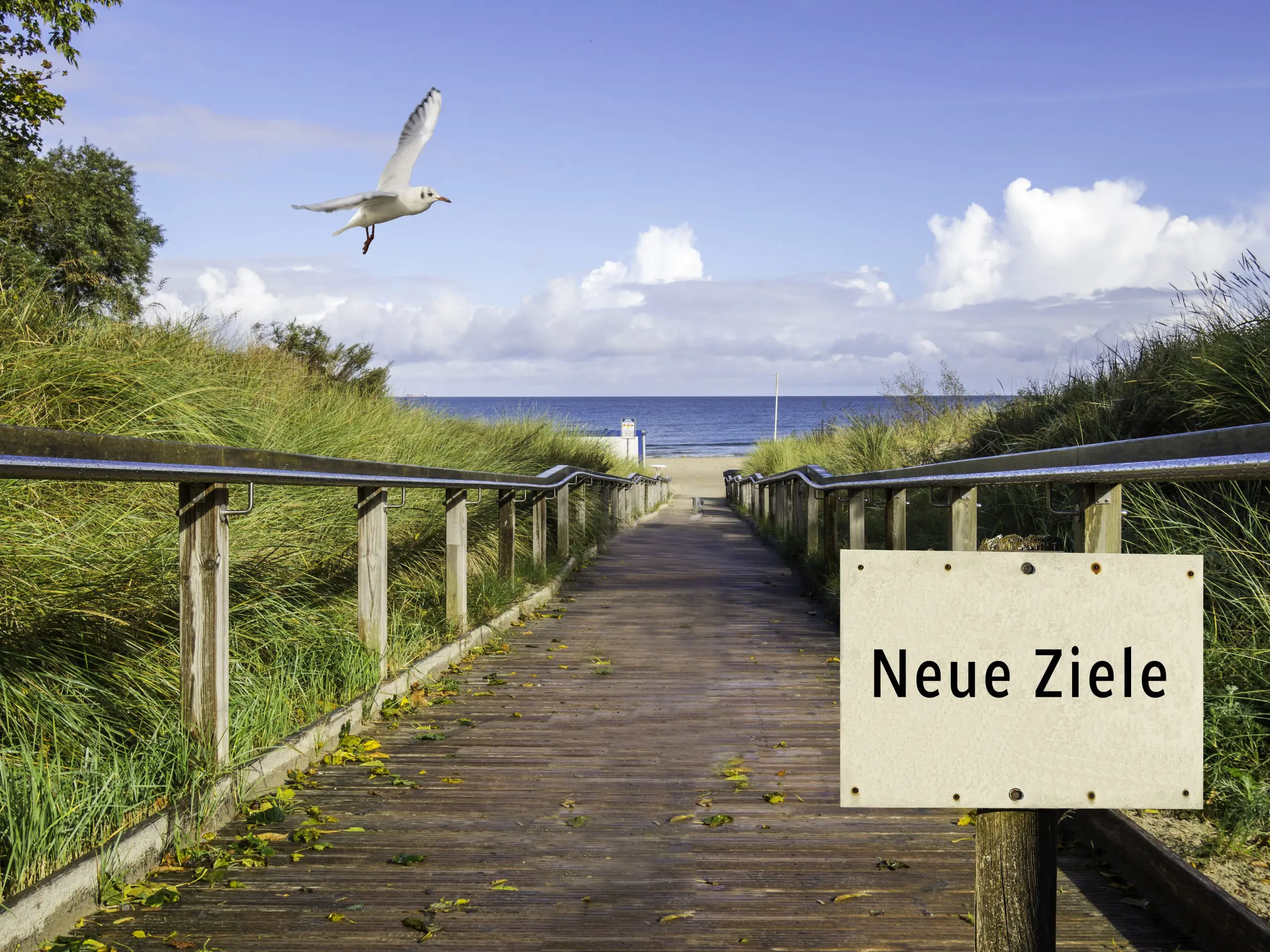 Neue Ziele symbolisch Ostseebrücke